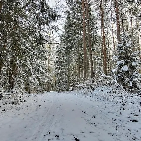 Dom Nad Dadajem *