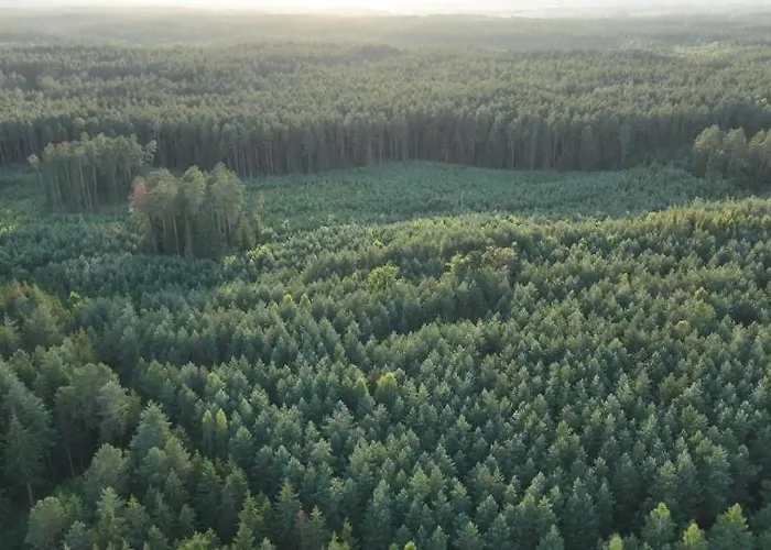 Ciechowka Holiday home