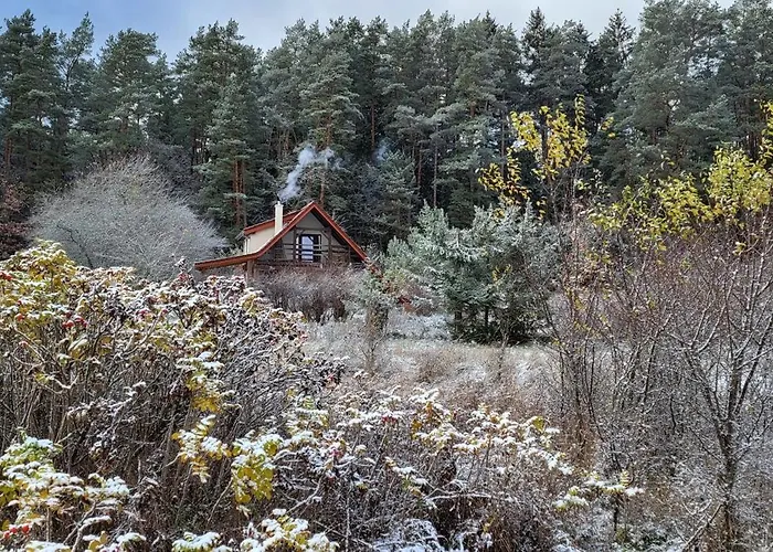 Holiday home Ciechowka Wilimy