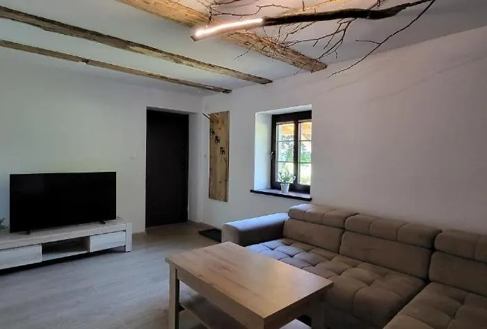 Ciechowka Holiday home *